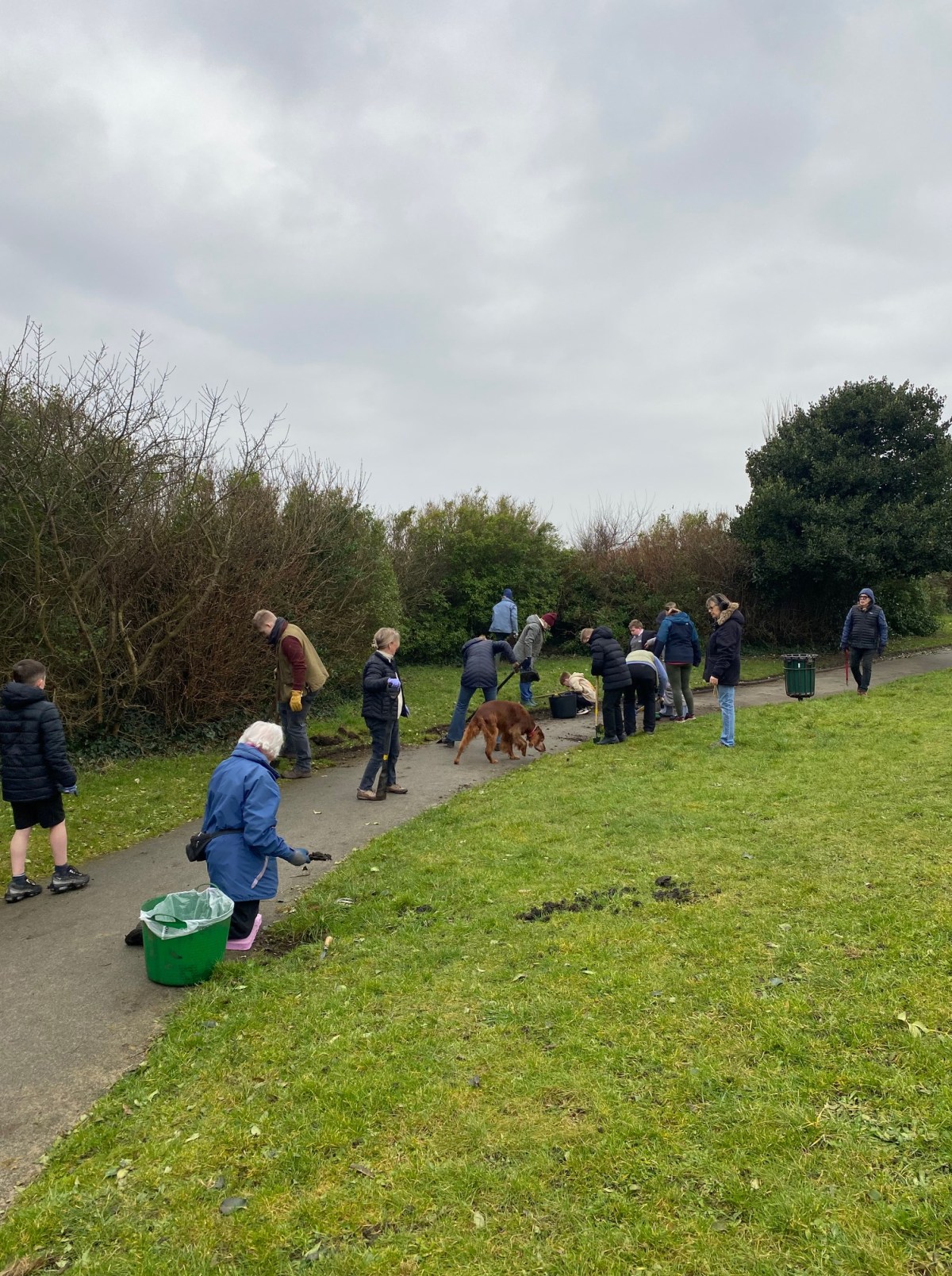 Celebrating Student Volunteering Week: Young Volunteers Make a Difference in Waterloo Seafront&nbsp;Gardens