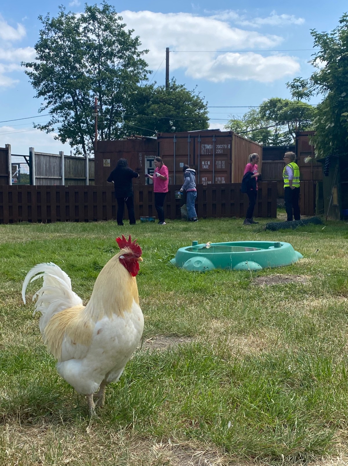 Find out how we got at Freshfields Animal Rescue volunteer taster&nbsp;day